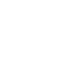 FC Schwoich_all white